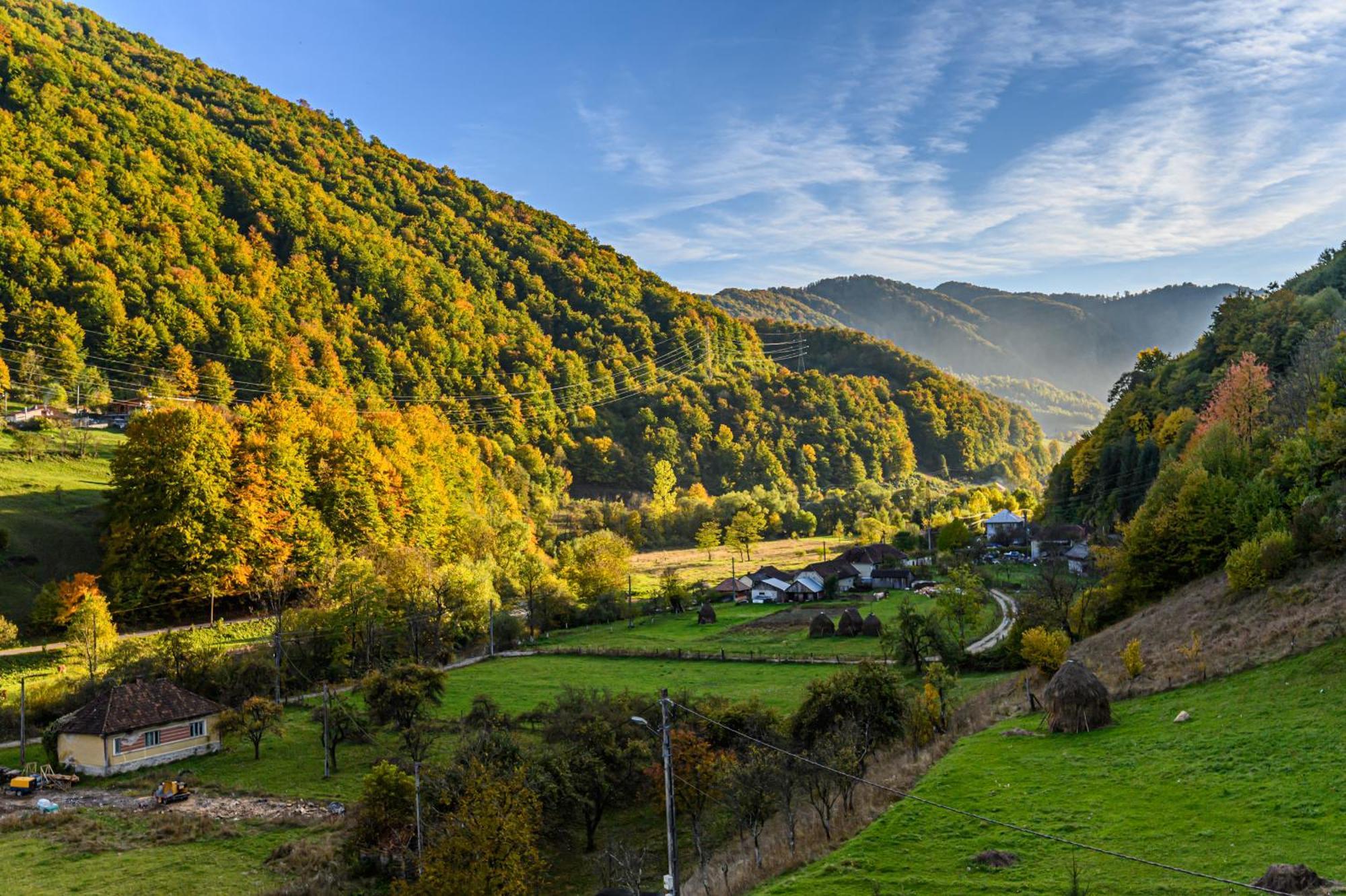Pensiunea Apuseni Wild Remeti Exterior photo